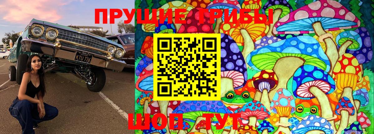 Галлюциногенные грибы MAGIC MUSHROOMS  Вход с VPN  Минеральные Воды 